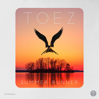 Rose Sixteen - Toez