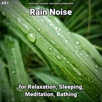 Perfect Rain Sounds - Rain Sounds & Deep Sleep & Rain Sounds by Angelika Whitta