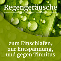 Regen zum Schlafen - Regengeräusche zum Einschlafen Franco Rodewig & Entspannungsmusik & Schlafmusik