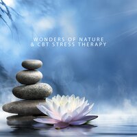 Gentle Instrumental Music - Musique Zen!