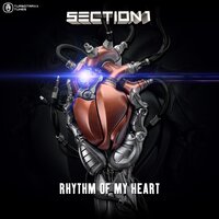 Rhythm Of My Heart - Section 1