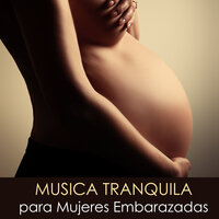 Amado Tesoro - Musica Tranquila Maestro