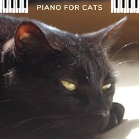 猫的音乐 - Piano for cats