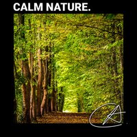 ASMR Quiet Christmas Smooth Crickets sound helps to relax and deep sleep - Chill Out & Crickets & Sleep Crickets