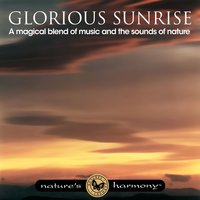 Morning Colors - Nature's Harmony