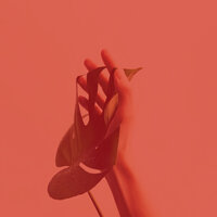 Breathtaking Ambiance for Self Care - Coffee House Instrumental Jazz Playlist