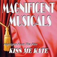 Too Darn Hot - Ann Miller