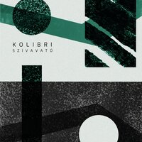 Látogató - Kolibri