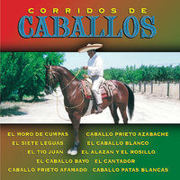 Caballo Patas Blancas - Mariachi Zapopán