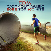 Call Of the Wild - Workout Electronica
