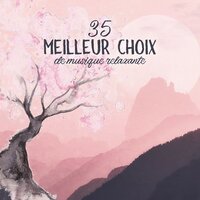 Éternité de vie - Musique Thérapeutique Naturelles & Bouddha Musique Sanctuaire