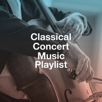 Brandenburg Concerto No. 6 in B-Flat Major, BWV 1051: III. Allegro - Capella Istropolitana & Bohdan Warchal & Johann Sebastian Bach
