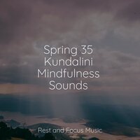 Sustainability - Music to Relax in Free Time & Meditation Awareness & Study Music & Sounds