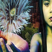 Dead Skin Cells - The Future Sound Of London