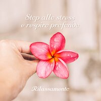 Dormi lo stress - Bella Zen Rilassante