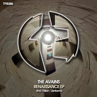 Vision - The Avains