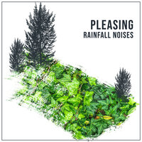 Steady Showers - Sounds of Nature for Deep Sleep and Relaxation & Rain Sound Studio, Sounds of Nature for Deep Sleep and Relaxation, Rain and Nature & Rain Sound Studio & Rain and Nature