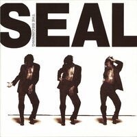 The Beginning - Seal