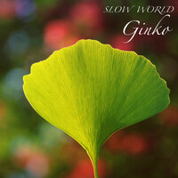 Ai - Slow World