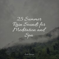 Wetland, Pond, Animals - Chakra Balancing Sound Therapy & Binaural Beats Brain Waves Isochronic Tones Brain Wave Entertainment & Yoga Music