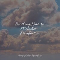 In Flowing Water - Ocean Waves for Sleep & Relaxing Spa Music & Kinderlieder-Superstar