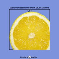 Synchronisation mit einem Stück Zitrone - Dr