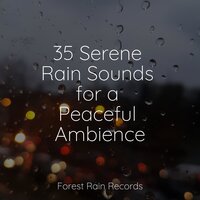 Rain, Urban, Lightning, Concrete - Saludo al Sol Sonido Relajante & Rain Hard & Pro Sound Effects Library