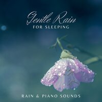 Sleepy Rain - Healing Rain Sound Academy