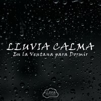 Lluvia Calma en la Ventana para Dormir, Pt. 44 - Lluvia para dormir