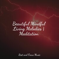 Perpetual Life - Tinnitus Aid & Ruído branco & Deep Relaxation Meditation Academy
