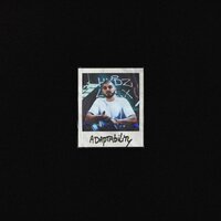 Adaptability - Bobby G
