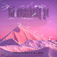 Let Somebody Go - Shaumarov & DJ JEDY