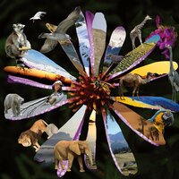 Triumph of Nature - Moritz Bintig & Francisco Becker