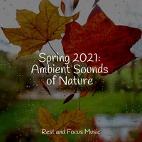 An Innocent Dawn - Binaural Beats Isochronic Tones Lab & Ambient Forest & Reiki Tribe