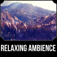 Warming Waters - Total Relax Music Ambient