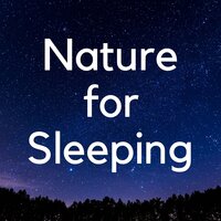 Soft Heart & Wooden Flute - Sleep 'n' Sleep