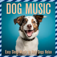 Cosy Fire - Dog Music Dreams & Relax My Dog