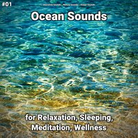 Ocean Sounds Part 7 - shoreline sounds & Nature Sounds & Ocean Sounds