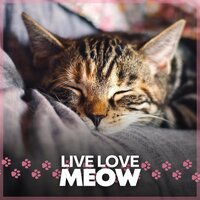 Let Your Cats Unwind - Cat Music