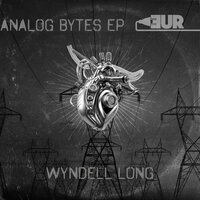 Frustrating TImes - Wyndell Long