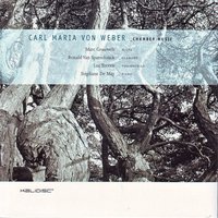 Sonata for flute and piano op. 10 n° 6 - Allegro con fuoco - Marc Grauwels
