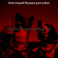 Чувство (Милые Собаки) - блестящий Музыка для собак
