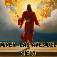 Miren las Aves del Cielo - Avivamiento Celestial