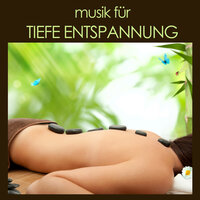 Stress Abbauen - Meister der Entspannung und Meditation