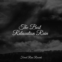 Forest, Wind, Heavy - The Rain Library & Loopable Rain Sounds & Lullaby Rain