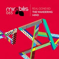 Sometimes My Mind Wanders - Real Gone Kid