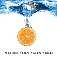 Relaxation Meditation Music - Soothing Music Collection