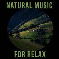Relaxation & Meditation - Time of Relax Universe