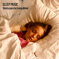 Tranquilidad y sueño - Deep Sleep Music Experience & Sleep Music & Music for Sleep