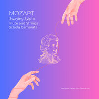 Adagio - Classical Hits & Schola Camerata